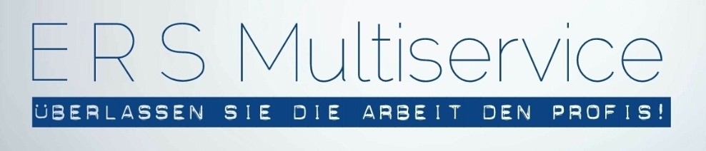 Banner 1