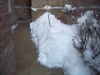 Winter 3