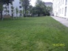 Gruenflaeche 1