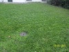 Gruenflaeche 3